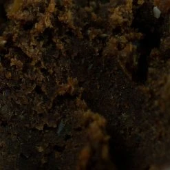 Sticky Baits Bloodworm Paste -TronixFishing shop go 314345 d